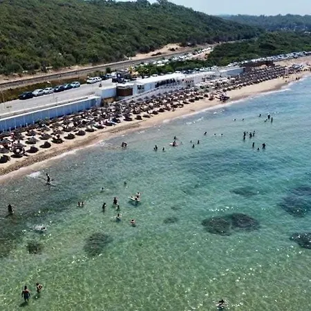 Degli Ulivi